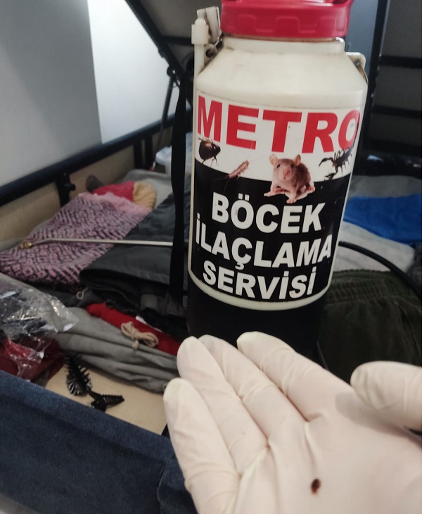 İstanbul Profesyonel Genel Haşere ve Böcek İlaçlama Servisi